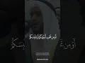 Download Lagu Surah Al An'am Ayat 65 Mishary Rashid Alafasy