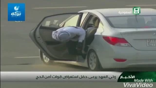 حنا جنود المملكه اسود وسط المعركة      دندنها