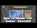 How to Breed the Canna Dragon in tips