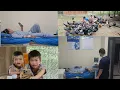 Download Lagu Mother is sick in hospital, two sons stay home to help mother raise pigs, chickens and ducks.