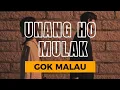 Download Lagu UNANG HO MULAK - GOK MALAU II LYRICS VIDEO II LAGU BATAK HITS