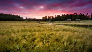 Chemtrails Over The Country Club Lana Del Rey Echo Best Version 