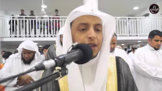 عشائية مرئية رائعة القارئ محمد الغزالي 1437 7 26هـ 