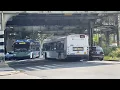 MTA Bus Shuttle Buses at Fulton Street and Van Sinderen Avenue