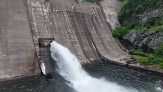                                                  دندنها