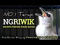 Download Lagu NO 1 TERAPI !! TRUCUKAN GACOR NGRIWIK, CEPAT MEMANCING TRUCUK SUSAH BUNYI SEKETIKA GACOR