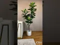 High Quality Artificial Fiddle Fig Tree