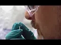 Immer der Nase nach Aniliner mit dem richtigen Riecher