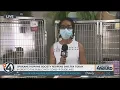Spokane Humane Society reopens shelter today