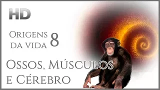 ORIGENS DA VIDA 08 - Ossos, Músculos e Cérebro (Legendado)