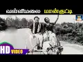 Download Lagu வள்ளிமலை மான்குட்டி எங்கே போறே | Vallimalai Maankutty Enge | Anbalippu | Sivajiganesan | Sarojadevi