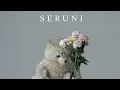 Lagu TuneBridge - Seruni ft. Bayu Pramasatya (Official Music Video)