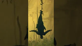 مسلسل جلال الدين الخوارزمي حلقة 12 سقوط الأمير في الفخ 