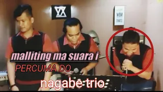 Download NAGABE TRIO || COVER PERCUMA DO || LAGU BATAK TERBARU 2022 MP3