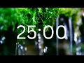 Download Lagu 25 Minutes Timer With Relaxing Music