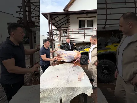 let's cook six dishes of ostrich