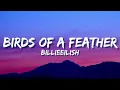 Download Lagu BillieEilish‬ - BIRDS OF A FEATHER (Lyrics)