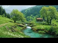 Download Lagu Relaxing Piano \u0026 Violin 🌿 Music Heals The Heart \u0026 Blood Vessels, Restores The Nervous System