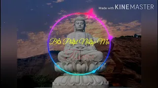 Download Bỏ Phật Nhập Ma Remix | Lời Việt | Nhạc EDM Tik Tok Gây Nghiện 2020 Hay Nhất MP3