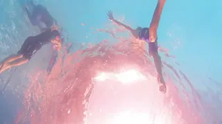                           دندنها