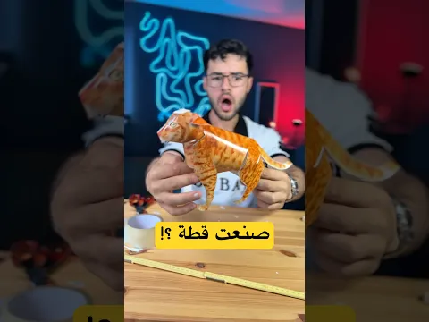 صنعت قطة !؟