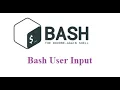 bash user input