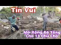 Lagu Tun Vui : Mờ Rộng Bê Tông Cho 138 Chú Chó Được Sạch Sẽ Hơn