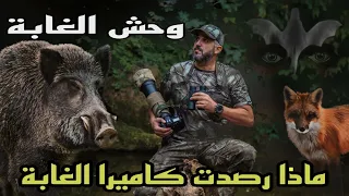 Forest Beast What The Forest Camera Captured 