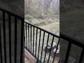 Very first snow of the year in Niles Michigan