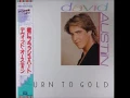 David Austin -Turn To Gold (Extended)