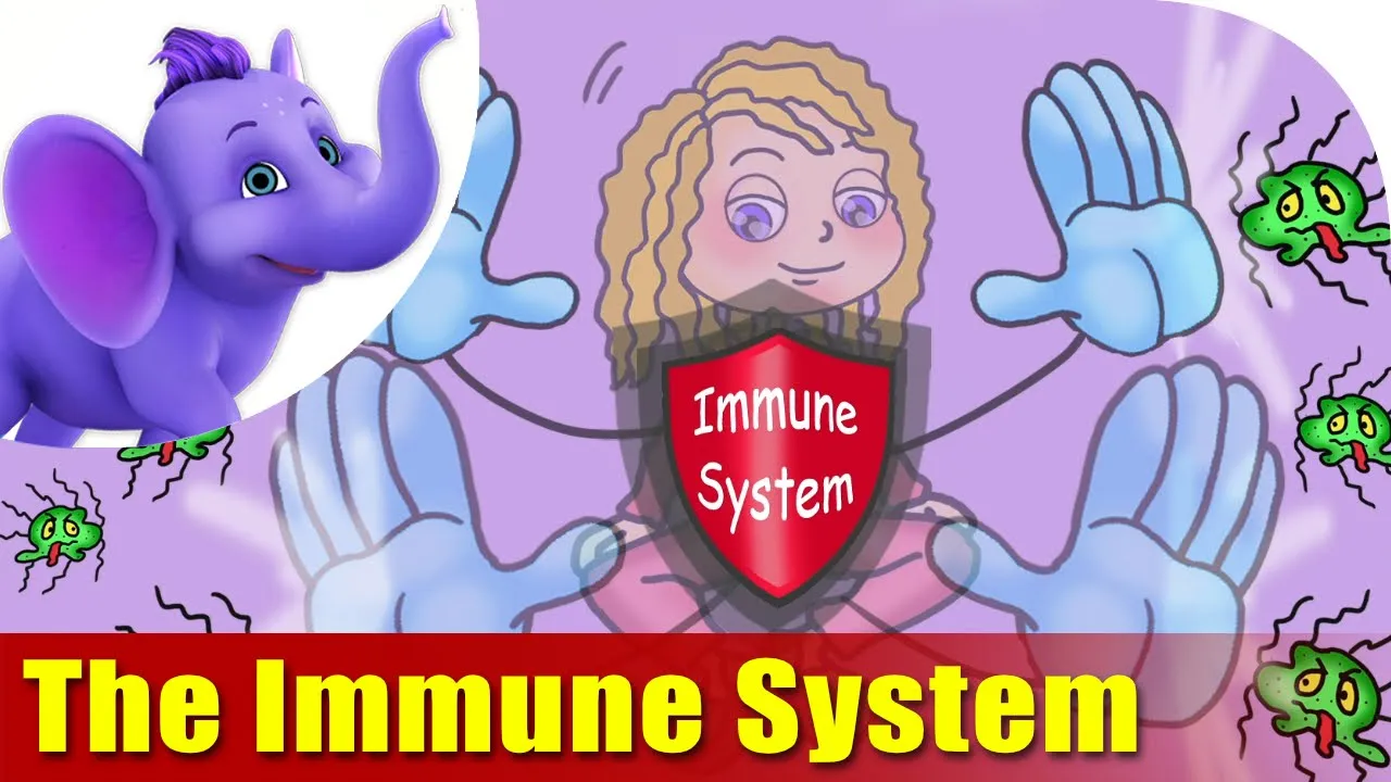 The Immune System The Immune System