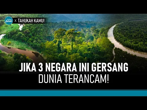 Iklim Bumi Terjaga Berkat 3 Negara Paru-paru Dunia Ini