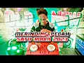 MERINDING PECAH SATU ROOM•JUNGLE DUTCH TERBARU 2023•VIRAL ( MINIMIX PROJ )