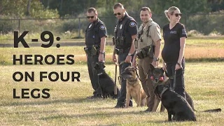 Northland K-9 Heroes Take Center Stage