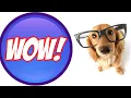 Craigslist Portland Oregon Craigslist Portland Oregon