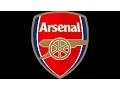 Arsenal FC Fan Chants - We Love You Arsenal (With Lyrics)