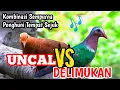 Download Lagu SUARA KOMBINASI BURUNG UNCAL DAN DELIMUKAN PERPADUAN SEMPURNA