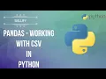 PYTHON ZERO TO HERO DAY PANDAS - WORKING WITH CSV in Python