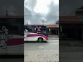 Download Lagu INDONESIA RAYA🤩 #bus #busmania #basuri #teloletbasuri #vidioshort