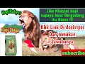 Download Lagu KOPI BUBUK Cap SINGA #ROBUSTA #Shopee #short