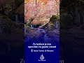 Download Lagu 📖 Zo herken je een oprechte en goede vriend🎙Imam Yasser al-Dossary