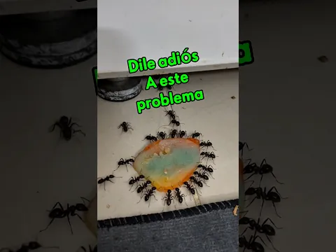 Despídete de esto para siempre