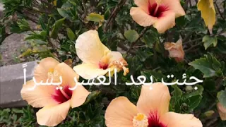 تصميم أنشودة أنت نور الل ه فجرا مع ورد طبيعي 