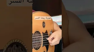 ريشة النسر 