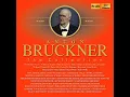 Symphony No. 8 in C Minor, WAB 108 (Ed. R. Haas from 1887 & 1890 Versions) : I. Allegro moderato