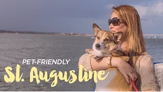 Pet Friendly St Augustine Florida