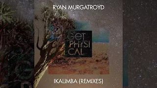 ryan murgatroyd ikalimba armonica remix 