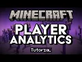 Get Detailed Player Analytics of your Minecraft Server
