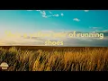 Brad Paisley - She's Everything (Lyrics)