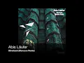 Abis Läufer - Silverback (Monococ Remix) [VPTR070]